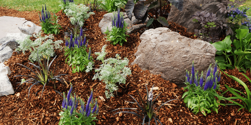 How to Calculate Mulch for Garden Beds: A Step-by-Step Guide