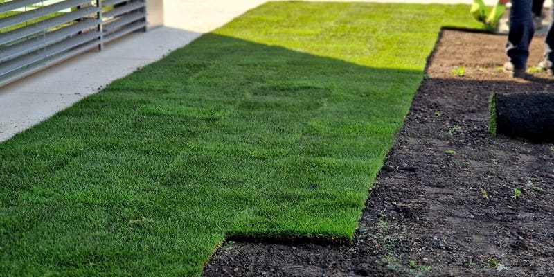 Artificial Turf Installation